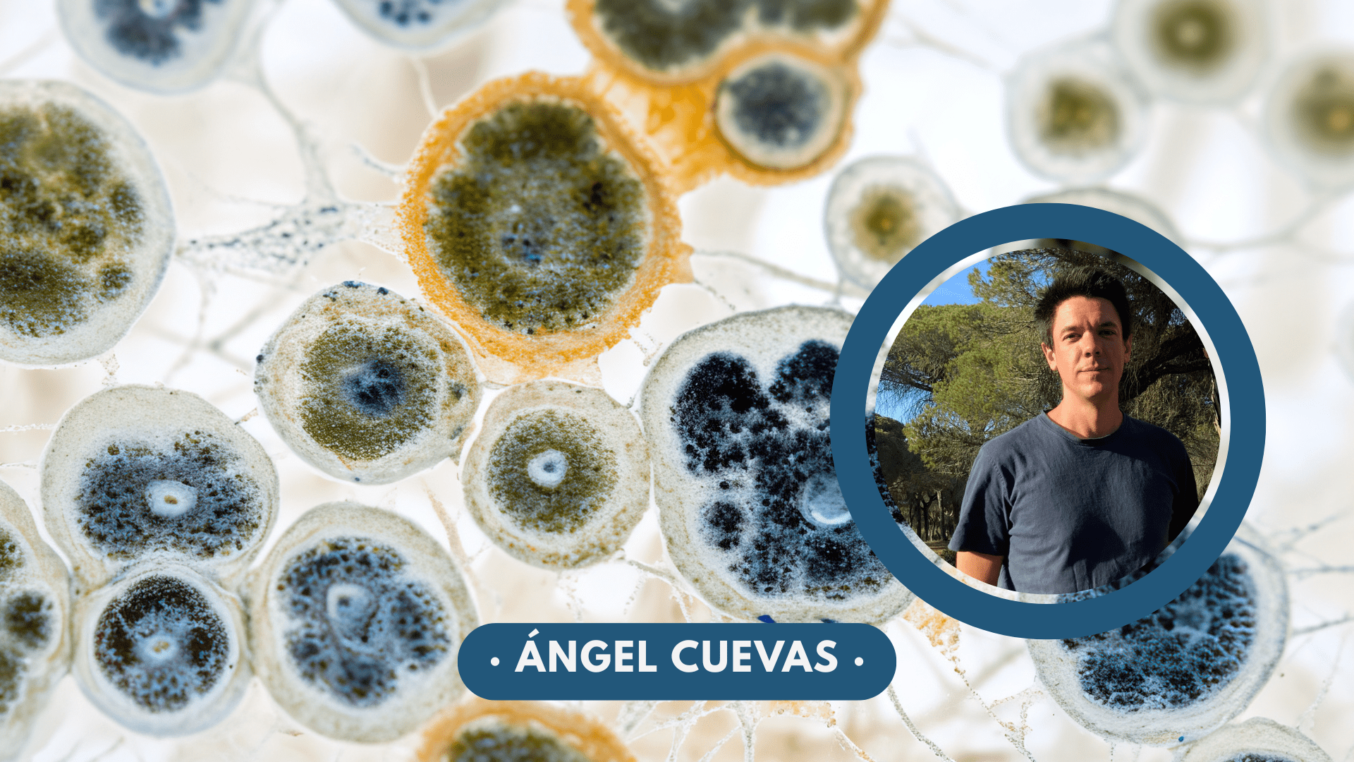 microbiota intestinal y sus funciones nutricionales metabólicas e inmunes