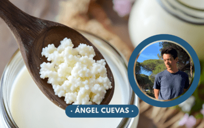 Beneficios de las leches fermentadas en la salud: microbiota, función barrera y efectos metabólicos