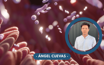 Microbiota intestinal, efecto barrera y permeabilidad intestinal: claves para entender su papel en la salud