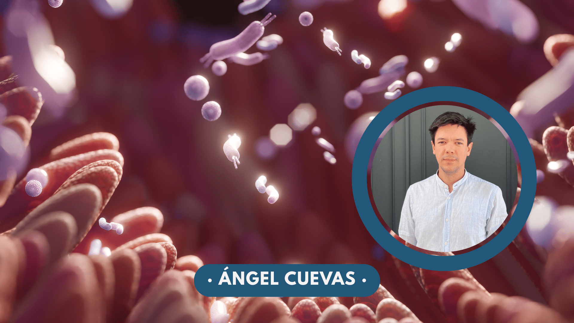 Microbiota intestinal, efecto barrera y permeabilidad intestinal: claves para entender su papel en la salud